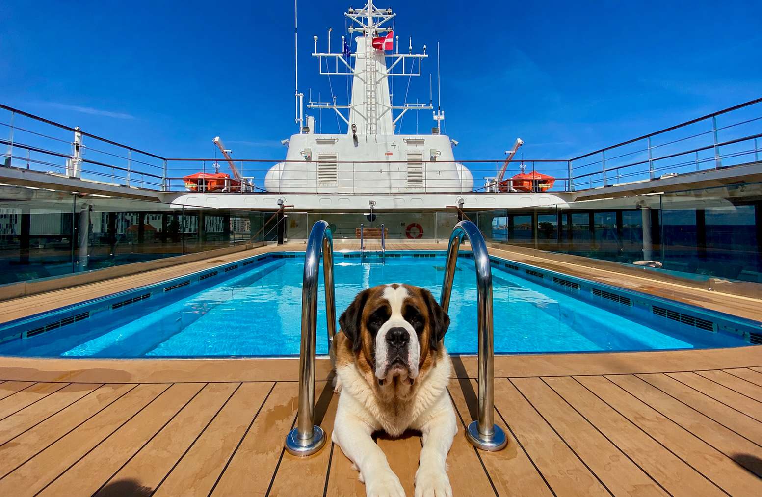 Hund an Bord eines Kreuzfahrtschiffes auf dem Pooldeck Hund liegt an Bord eines Kreuzfahrtschiffes am Pooldeck als Symbol für hundefreundliche Schiffsreisen